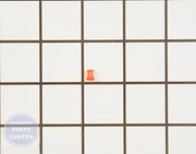 FRIGIDAIRE OVEN LENS 318228310 - Main view showing enhanced lighting for specific models