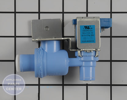 Kenmore LG Water Inlet Valve 5220JB2001A - Main view showing valve & float for Kenmore 5221JB2005A
