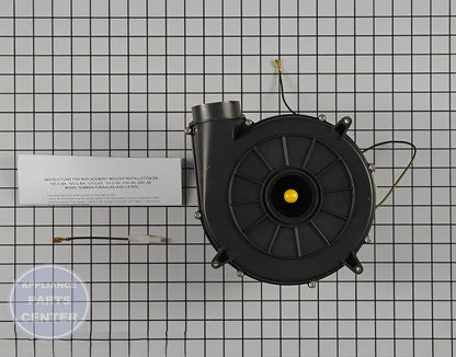 Draft Inducer Motor BLW00864 - Detailed view of Trane motor technical details