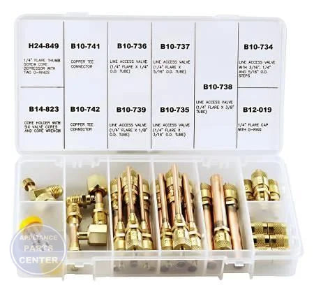 [Brand] Access Valve Kit CD9520SVK - Main view showing valve core replacement for [specific models]