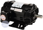 NEMA Three-Phase Open Dripproof Motor D3P2D - Main view showing high efficiency for various models