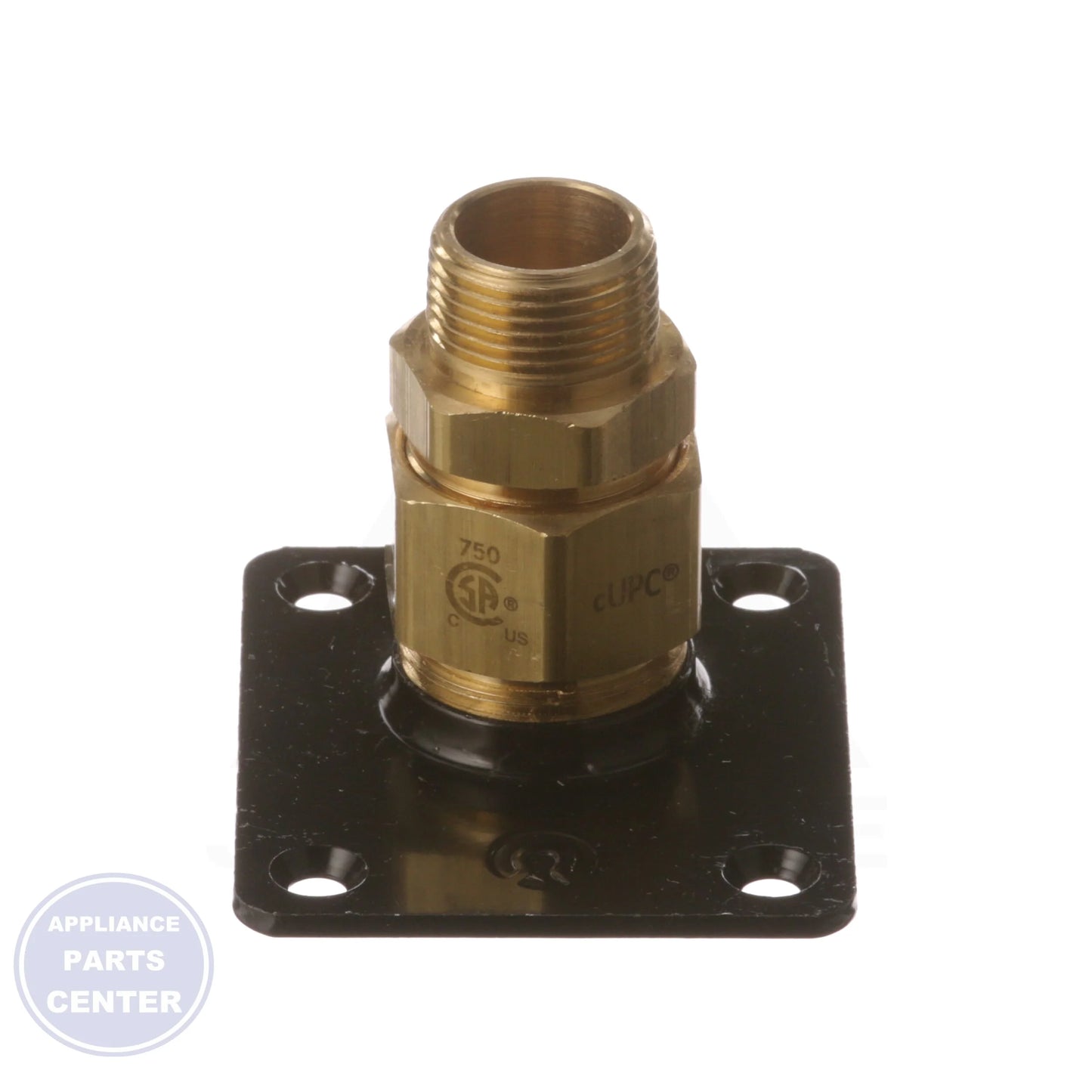 Steel Flange Fitting FGP RFG 750 - Detailed view of 3/4" MPT thread
