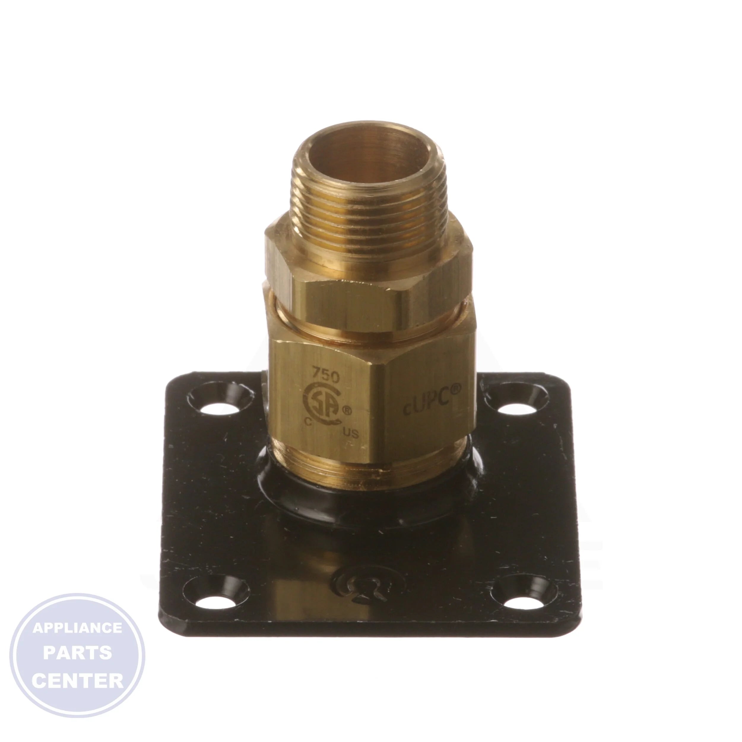 Steel Flange Fitting FGP RFG 750 - Detailed view of 3/4" MPT thread