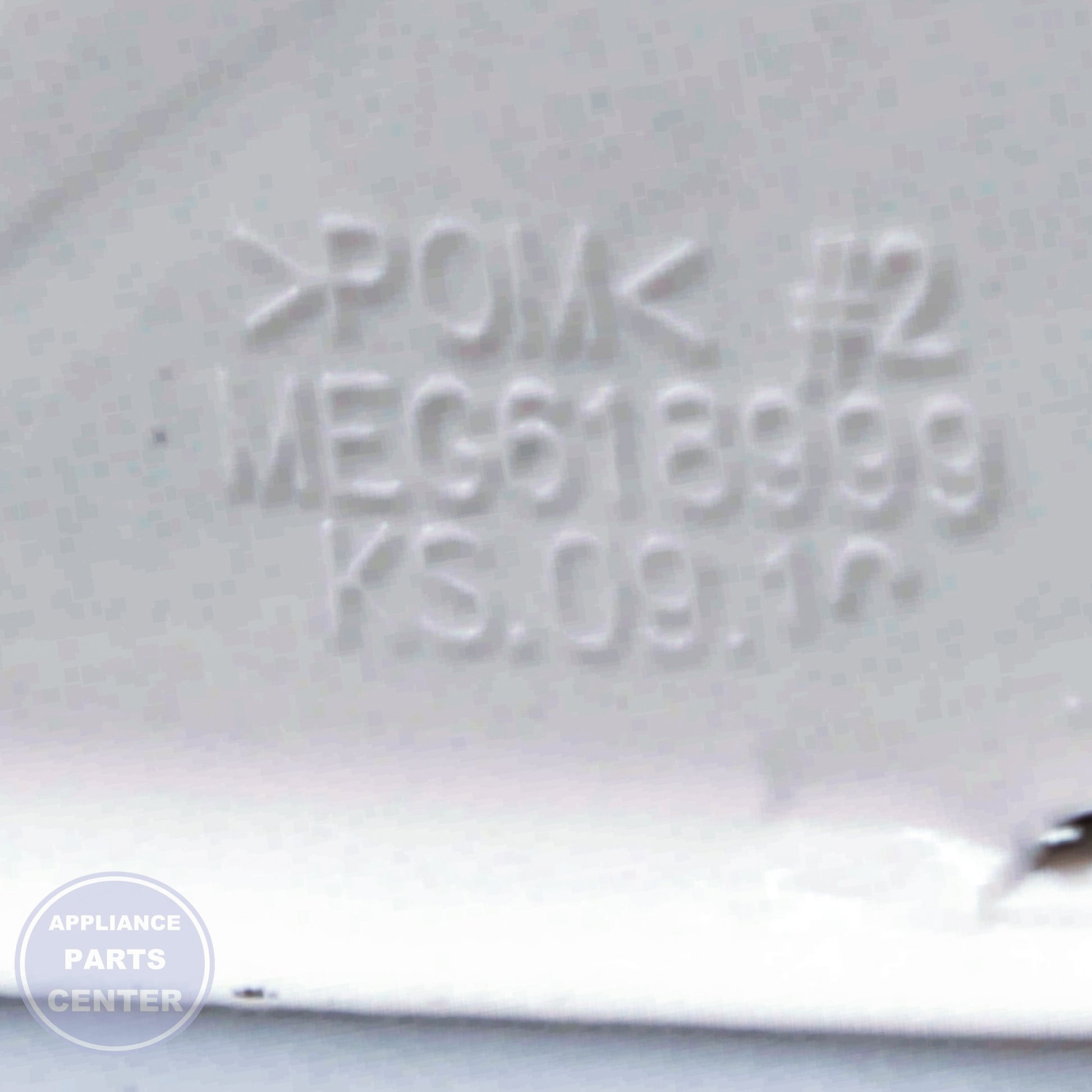 L-G HOLDER,DOOR MEG61899901 - Main view showing door security for L-G models