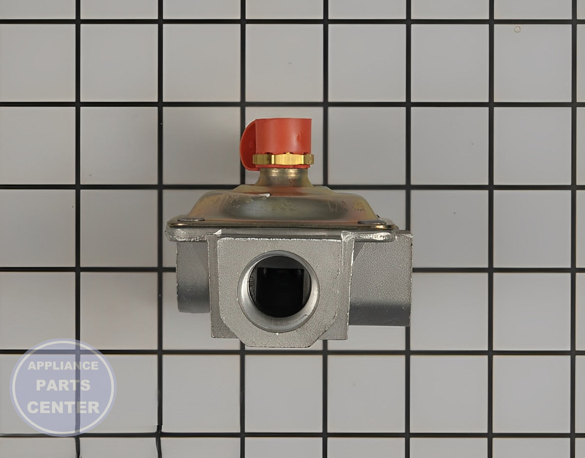PRESSURE REGULATOR WB19K10077 - Detailed view of precise gas flow control