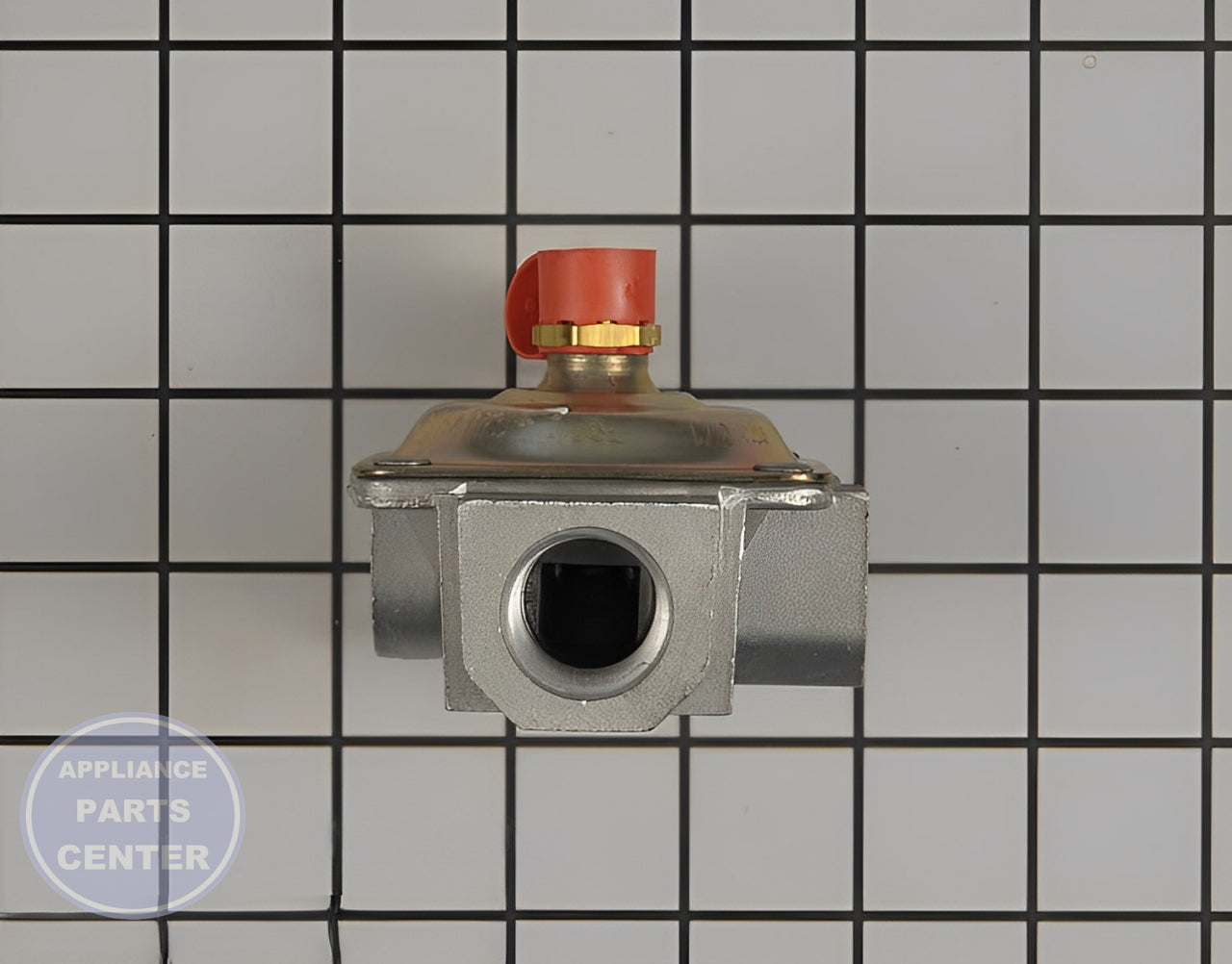 PRESSURE REGULATOR WB19K10077 - Detailed view of precise gas flow control