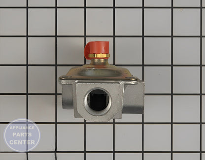 PRESSURE REGULATOR WB19K10077 - Detailed view of precise gas flow control