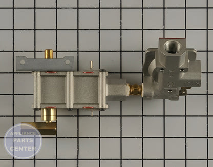 Valve and Pressure Regulator WB19K10079 - Detailed view of 2000 BTU gas control
