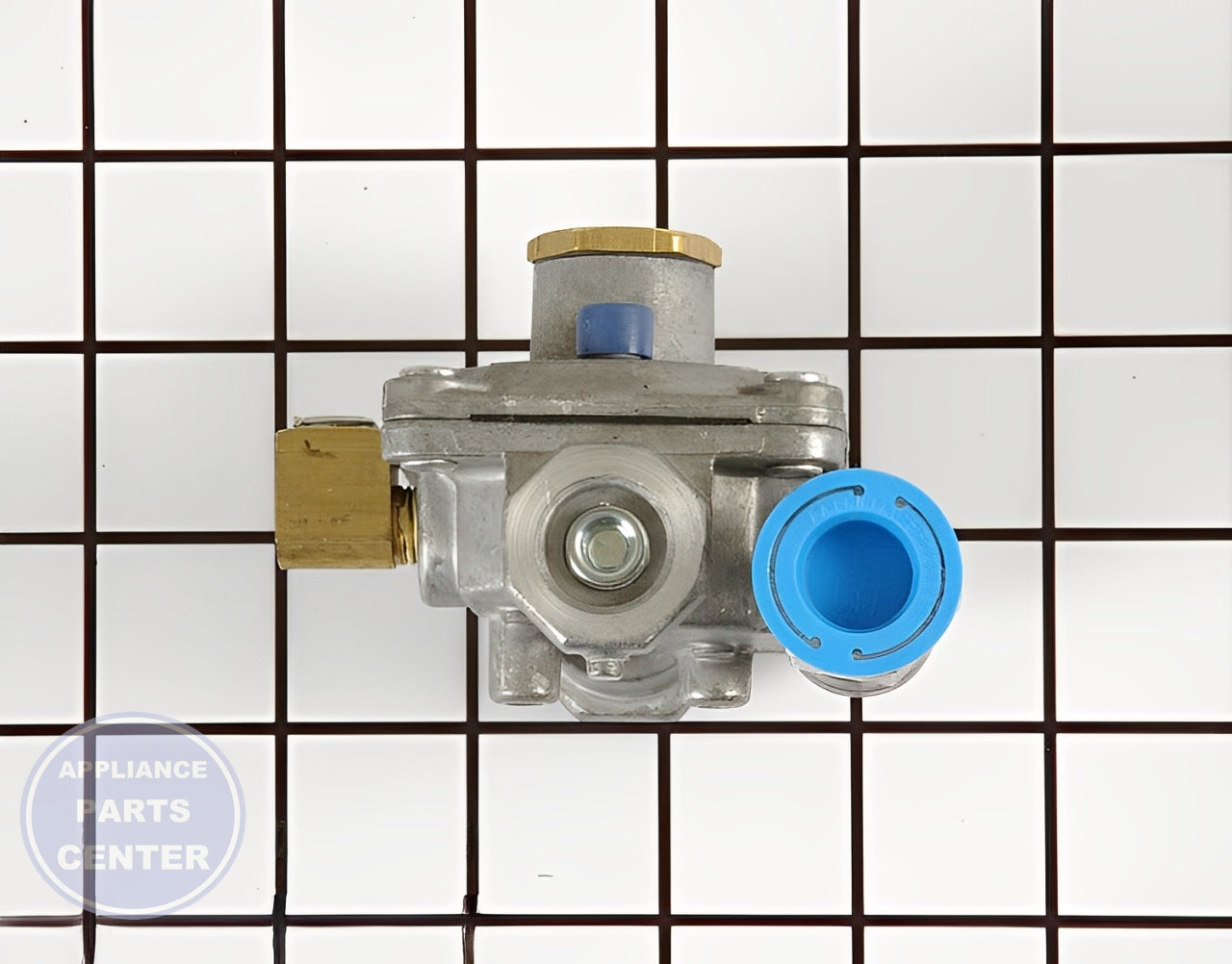 Pressure Regulator WB19T10079 - Detailed view of Gas Burner & Control Valve