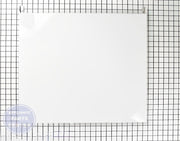 GE Kenmore Hotpoint Door Panel WD31X10025 - Main view showing sleek design for compatible models