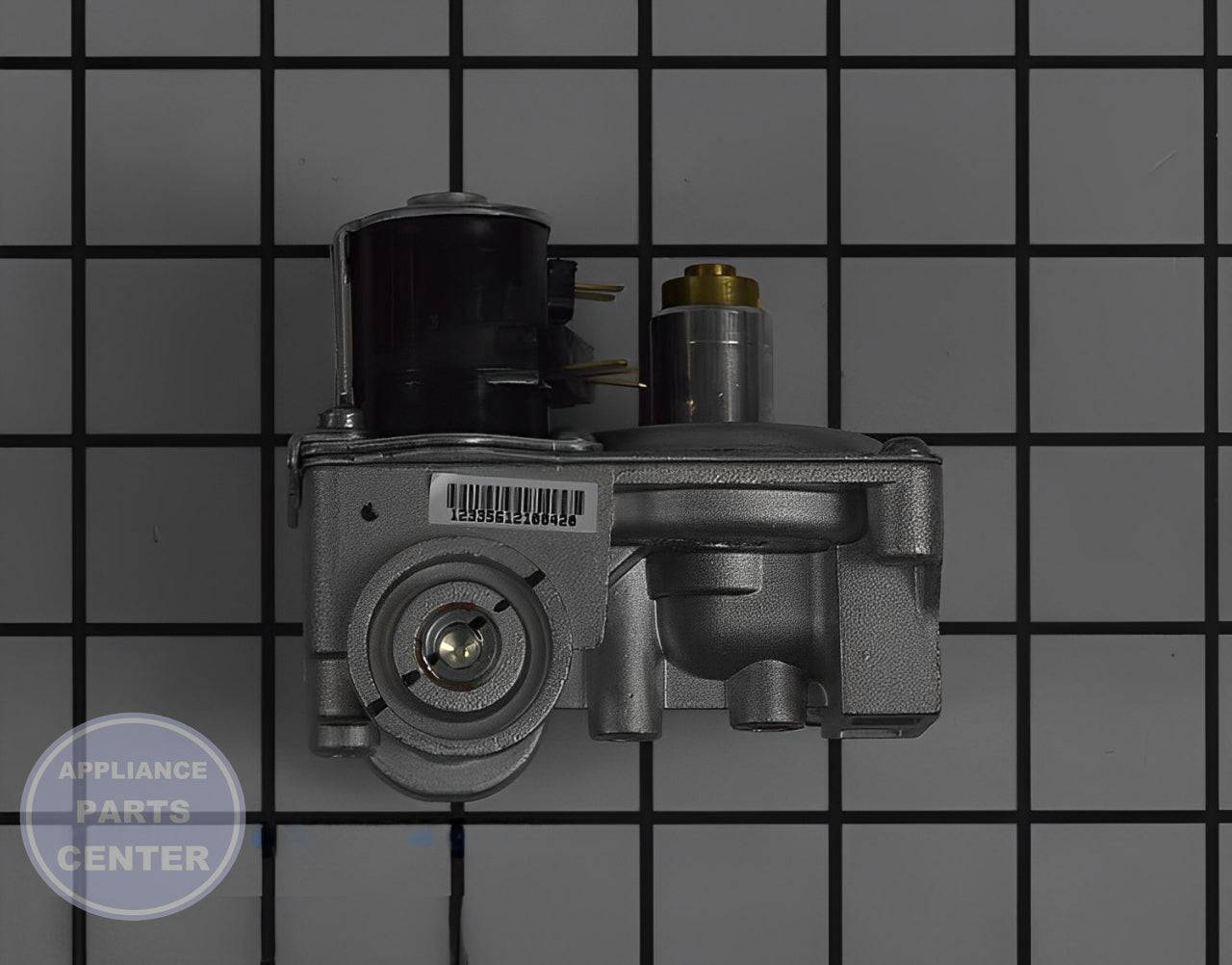 GE Gas Valve Assembly WE11X29741 - Installation in GE Dryer model XYZ showing critical mounting points