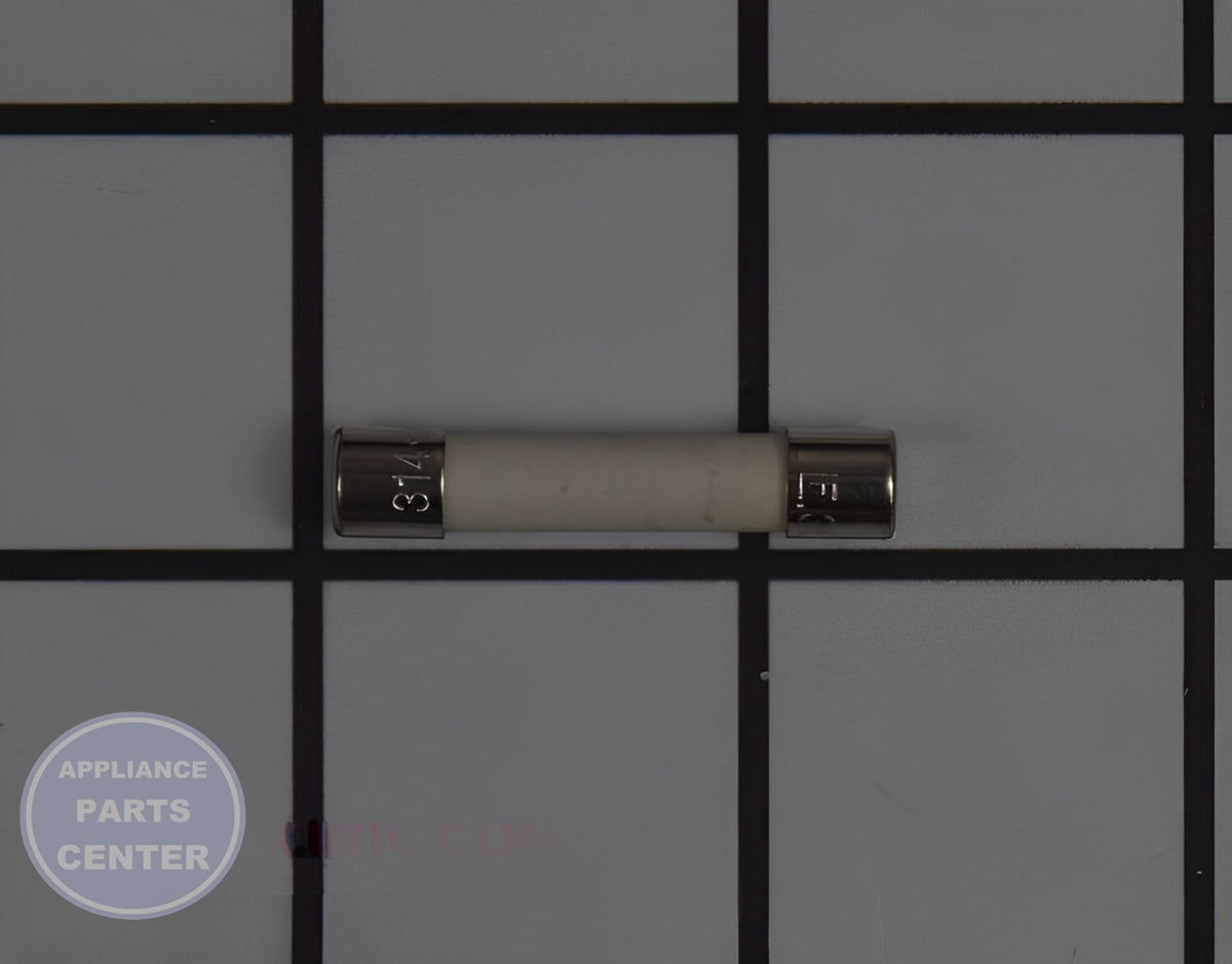 GE WASHER FUSE WE1X21975 - Main view showing thermal protection for GE washer models