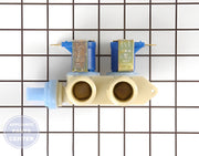 WHIRLPOOL WATER VALVE WP21001932 - Main view showing Valve & Float for WPL washing machines