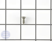 Amana Screw WP98006631 - Main view showing heavy-duty fastening for refrigerator models