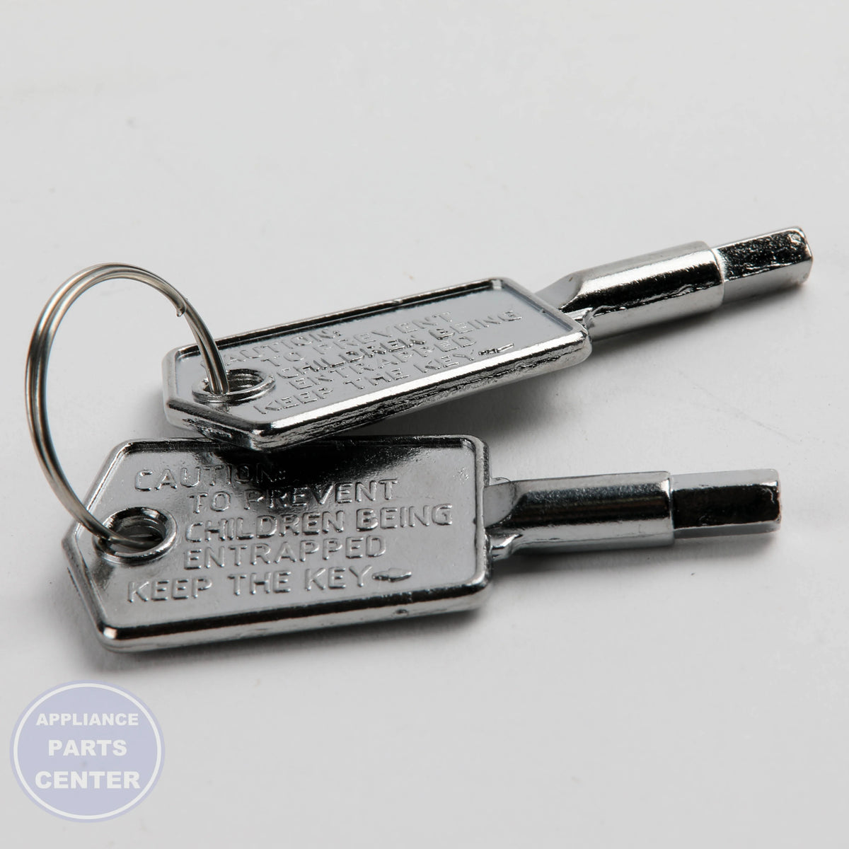 GEH DOOR KEY WR01X28053 - Main view showing secure closure for GNE27JSMSS